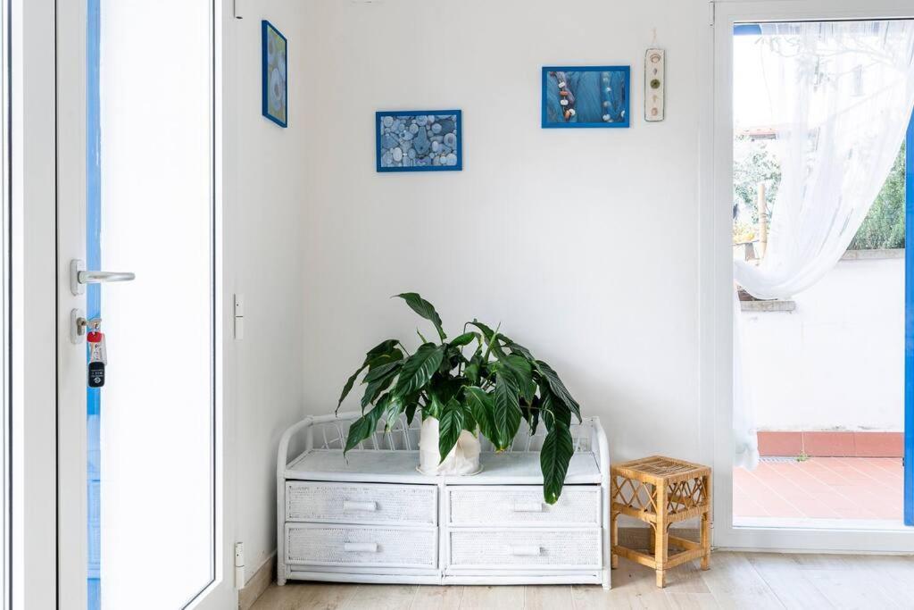 Rosemary'S Home 奎尔西亚内拉 外观 照片